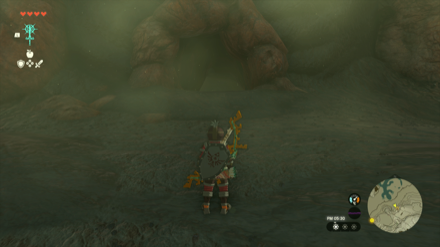 トカゲの隠れ穴の入り口画像