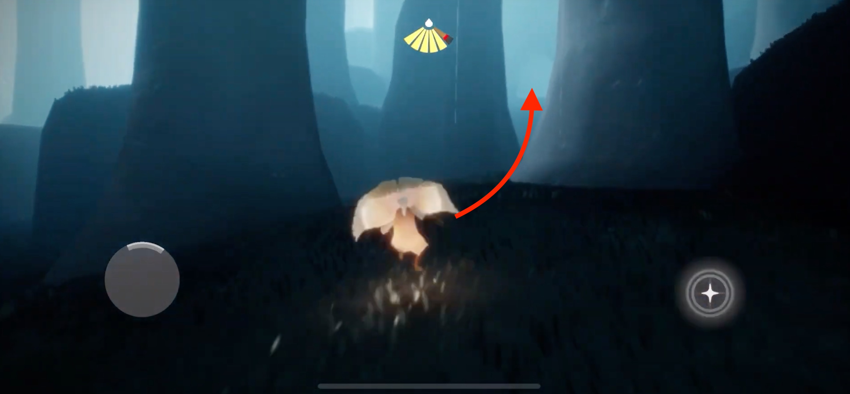 木の間を抜ける