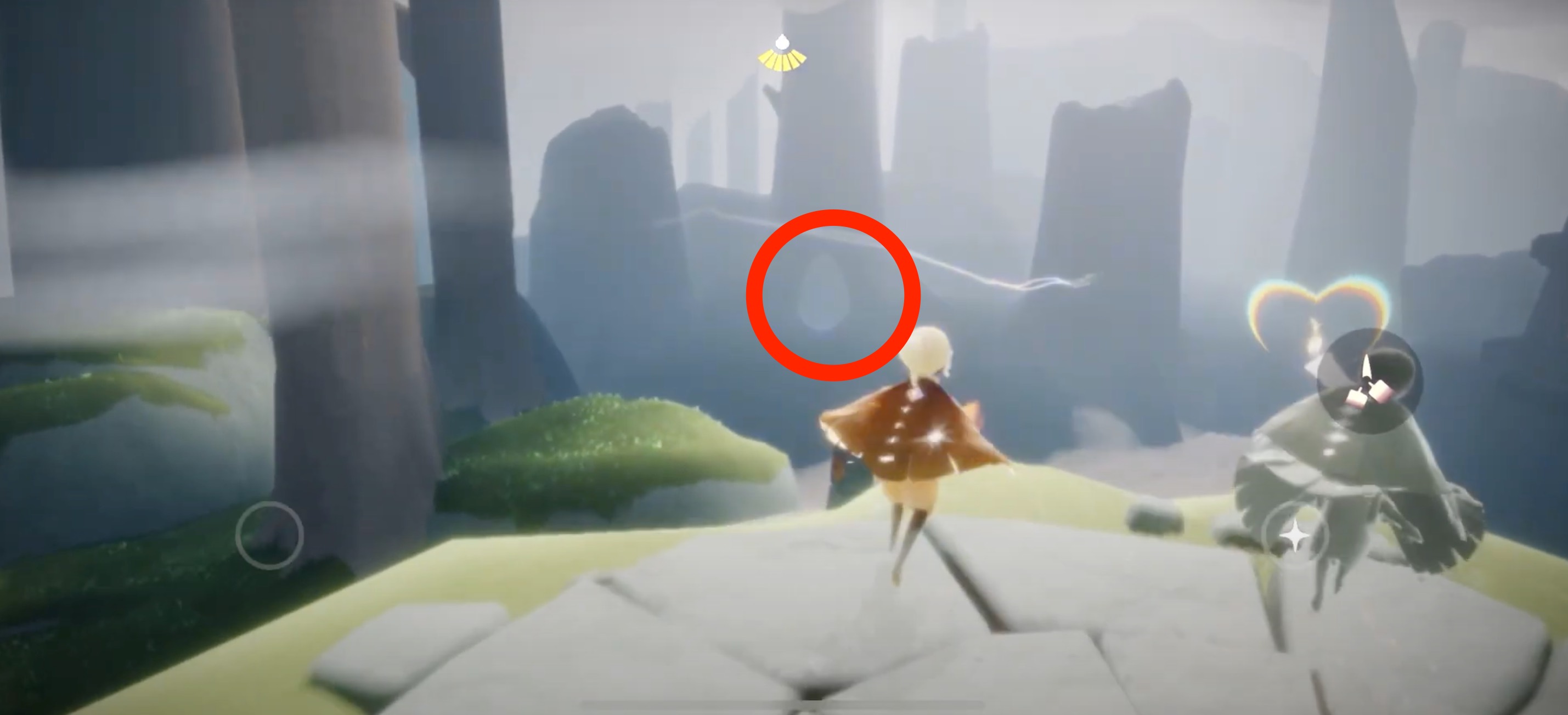 穴が空いてる木