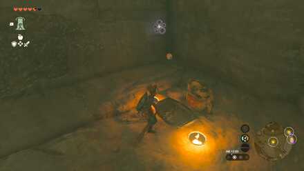 ツルギバナナを置く場所④