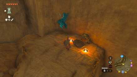 ツルギバナナを置く場所⑤