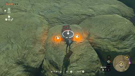 ツルギバナナを置く場所①