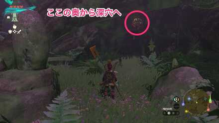 "深穴への入口"