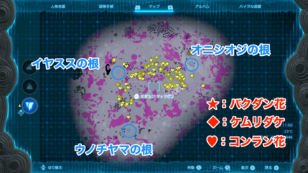 バクダン花の入手場所詳細