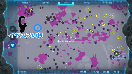 イヤススの根付近