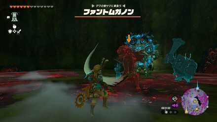 デクの樹様のファントムガノン