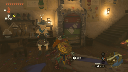 チュチュのサンプル撮影画像