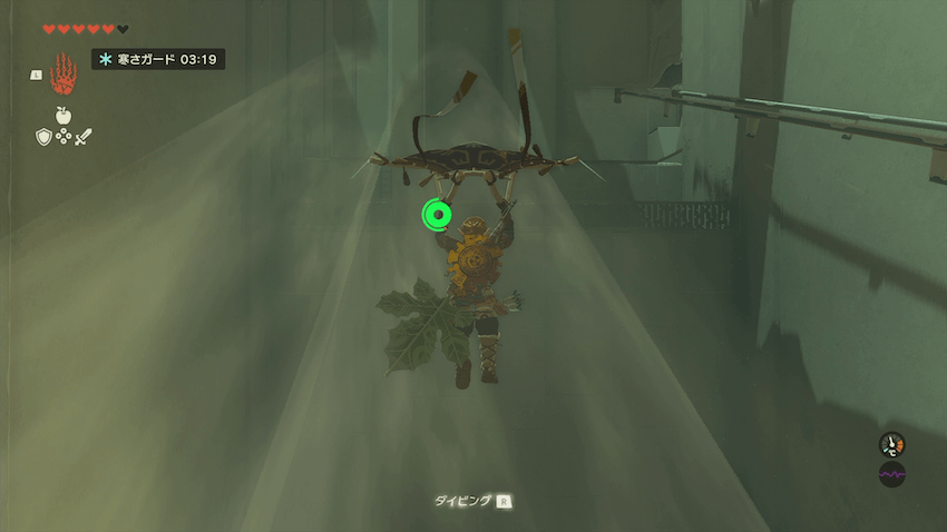 入って左側にある上昇気流で上のエリアに向かう