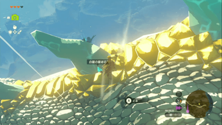 白龍の背中から採取