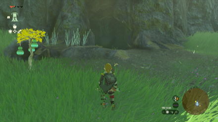 サハスーラ平原の洞窟の入り口画像