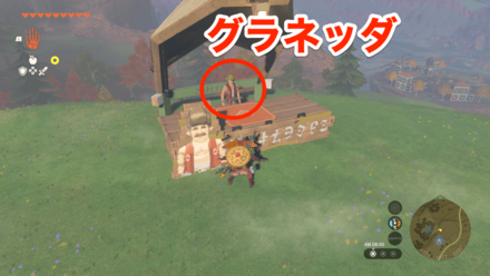 グラネッダの見た目