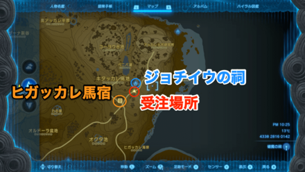 オルディンの大化石画像