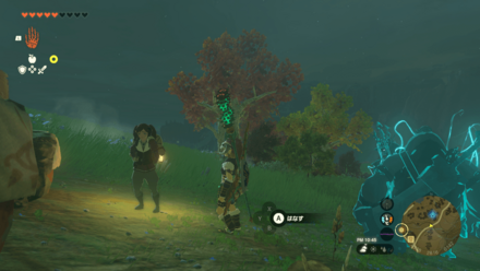 オルディンの大化石画像