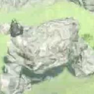 希少イワロック