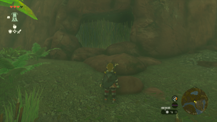 樹海サージョンの洞窟の入り口画像