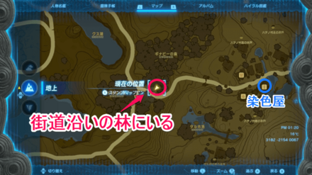 ハテノ村付近の青いチュチュの場所