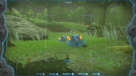 ウツシエで「青いチュチュ」の写真を取る