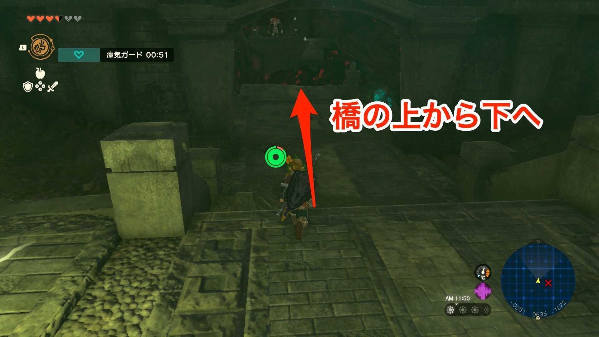 ガノンドロフ討伐