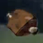 焼き極上ケモノ肉画像