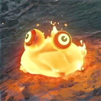 ファイアチュチュ画像