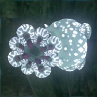 アイスライク画像