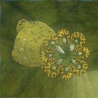 エレキライク画像