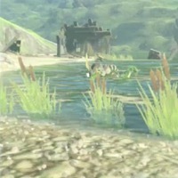 リザルフォス画像