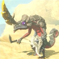 黒リザルフォス画像