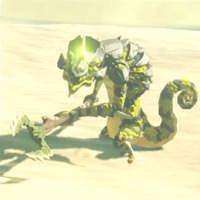 シビレリザルフォス画像