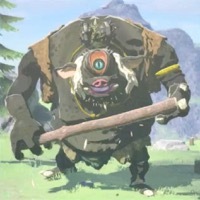 黒ヒノックス画像