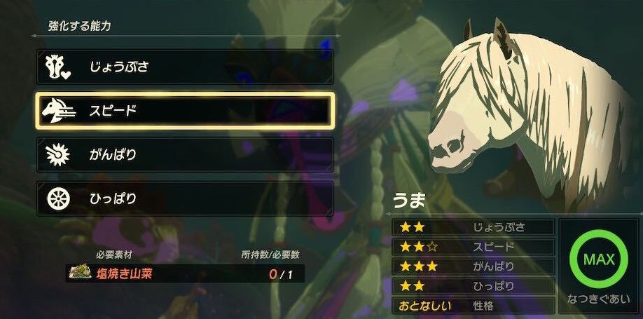 馬強化の必要素材