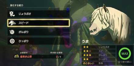 馬強化の必要素材