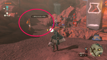 ゴロンシティにいるラメラ