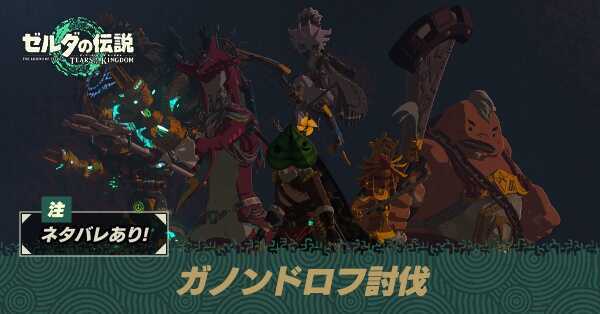 ガノンドロフ討伐の攻略