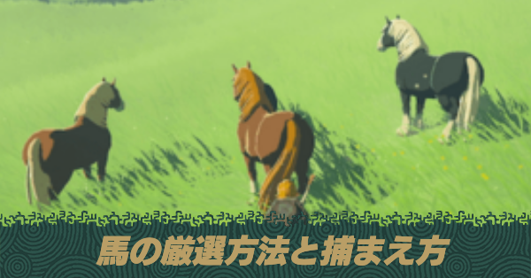 馬の厳選方法と捕まえ方