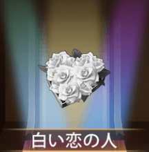 少女廻戦の白い恋の人