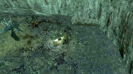 大空の勇者服の入手方法