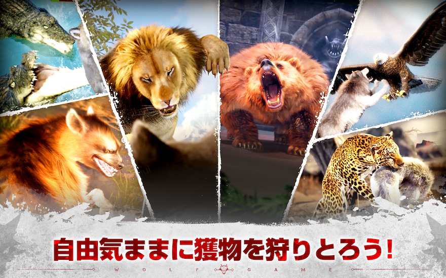 動物の質感