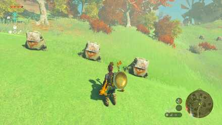 イーガ団の拠点の目印