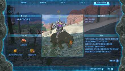 ハチクイグマの見た目