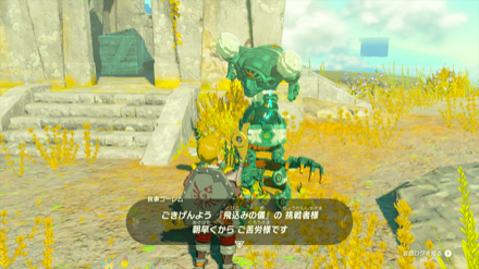 池付近にいるゴーレムに話しかける
