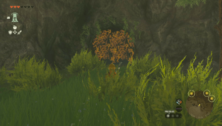 回生の祠の入り口画像