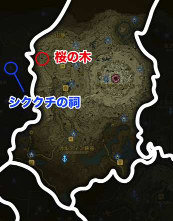 オルディン地方の桜の木