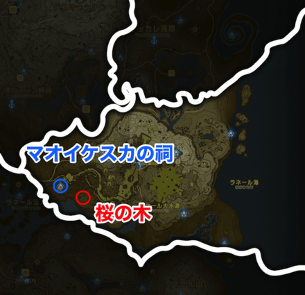 ラネール地方の桜の木