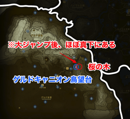 ゲルド地方の桜の木