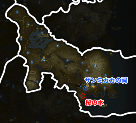 ハテール地方の桜の木