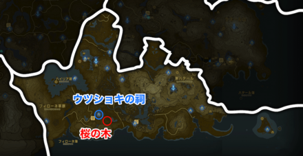 フィローネ地方の桜の木