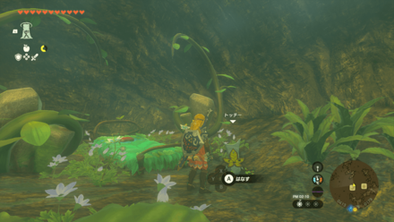 トッチーの場所