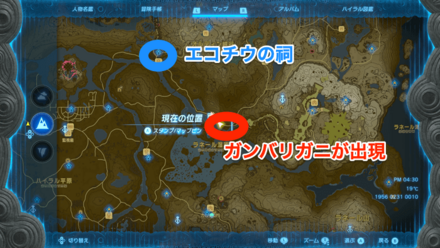 ガンバリガニが沢山いる場所