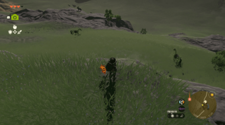 骨の馬が現れる